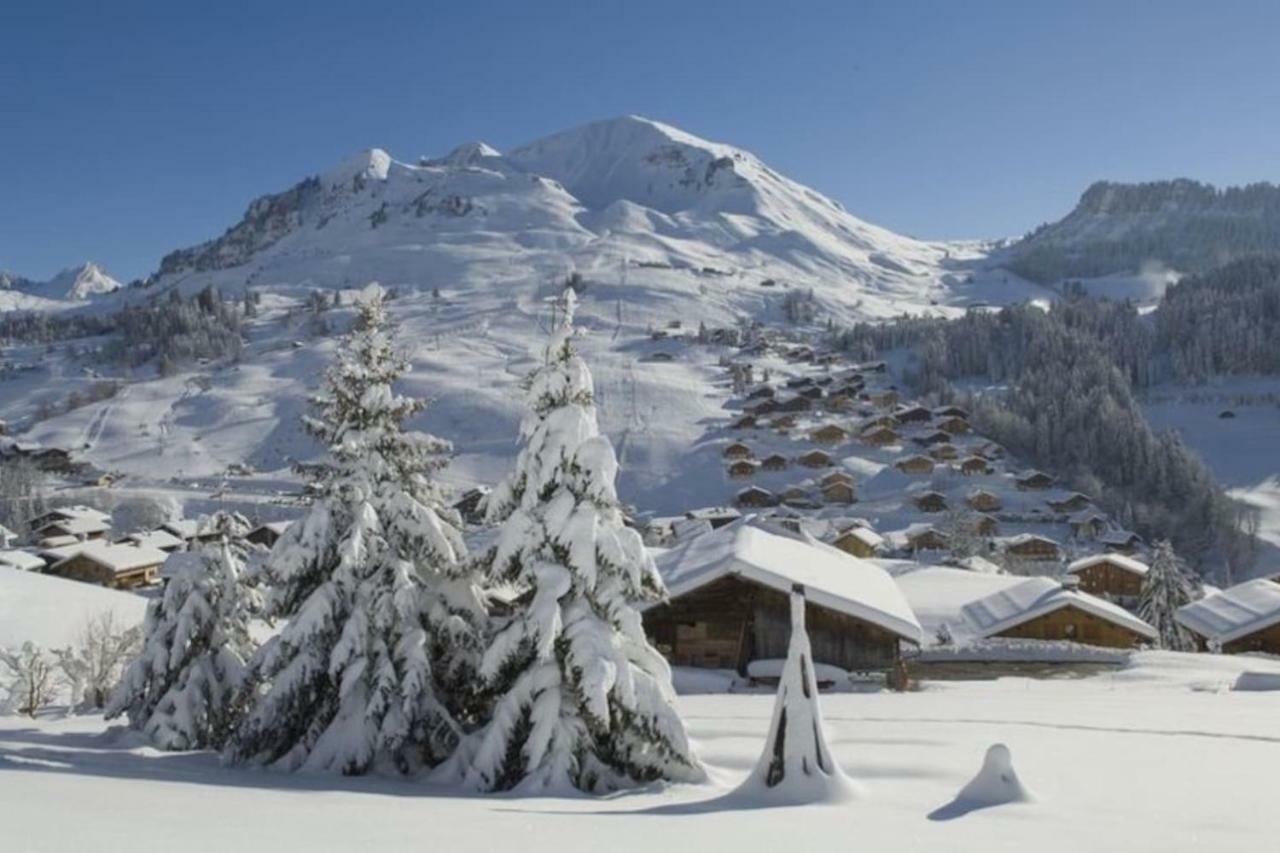 Bel Appartement Avec Vue Exceptionnelle Le Grand-Bornand Zewnętrze zdjęcie